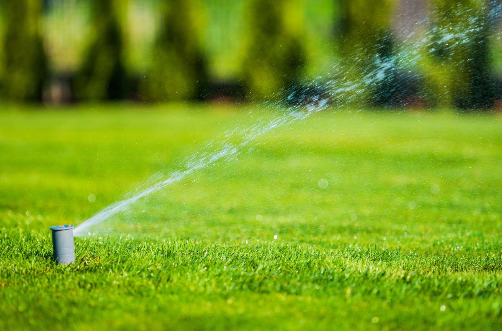 garden-lawn-sprinkler-P9YXUNA A sprinkler waters a lush, green lawn with a spray of water, creating a refreshing scene under a sunny backdrop of blurred trees.