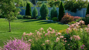backyard with trees and shrubs