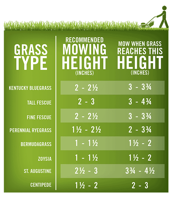 lawnmowerheighter_lawnmowing Chart detailing recommended and maximum mowing heights for various grass types, including Kentucky Bluegrass and Bermudagrass, with a mowing person icon.